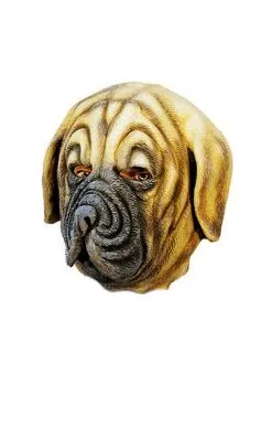 Boxer Hundemaske Aus Latex