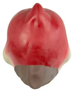 Papagei Maske Polly -Deutschland Halloween Masken Verkäufe 2023 papagei maske polly comic vogel maske papagei verkleidung kostuemzubehoer 17741 3