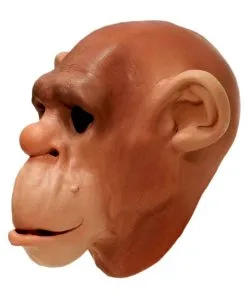 Affenmaske Aus Schaumlatex 7 Affenmaske Aus Schaumlatex -Deutschland Halloween Masken Verkäufe 2023 schimpansen schaumlatex maske affenmaske tiermasken bild4 15361